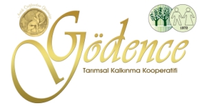 Kooperatif