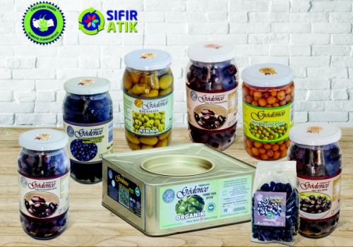 Gödence Organik Zeytin