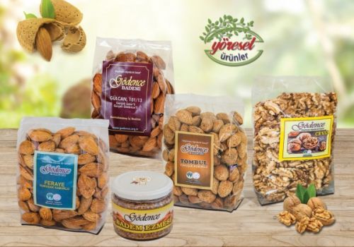 Gödence Sert Kabuklular Badem ve Ceviz